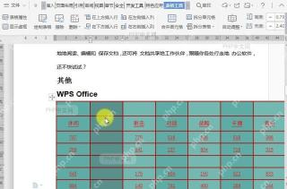 如何在文档表格左侧插入列？结果检查