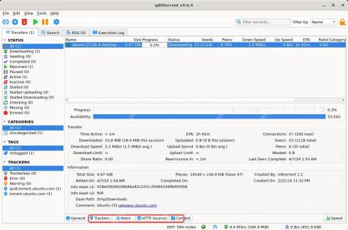 qBittorrent 底部 Trackers Peers Content 详情标签