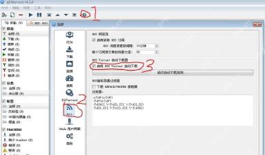 qBittorrent v4.1.6 Windows 中文选项窗口 RSS 页面，启用获取 RSS 订阅和 RSS Torrent 自动下载位置被红圈标出，证明 RSS 设置入口