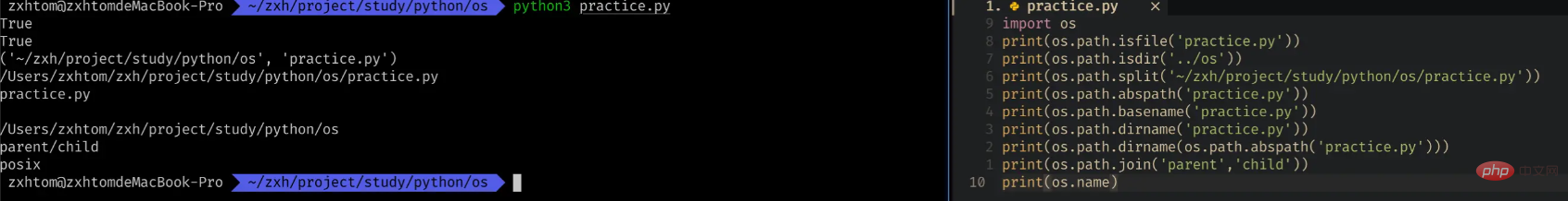 How does Pythons built-in module OS create a SHELL-side file processor?