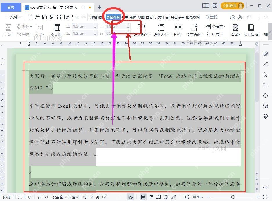 WPS文字页面布局选项卡中点击页面边框入口