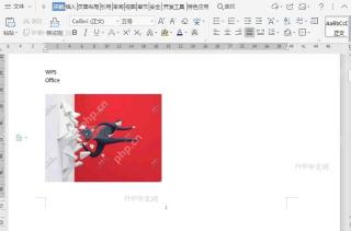 如何锁定文档图片纵横比?入口位置