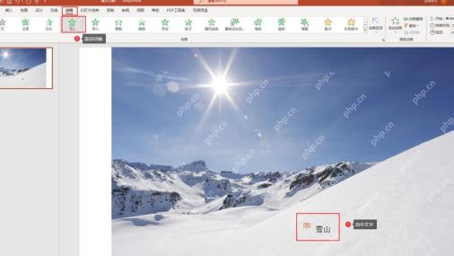 PowerPoint动画选项卡中选择对象并查看动画编号