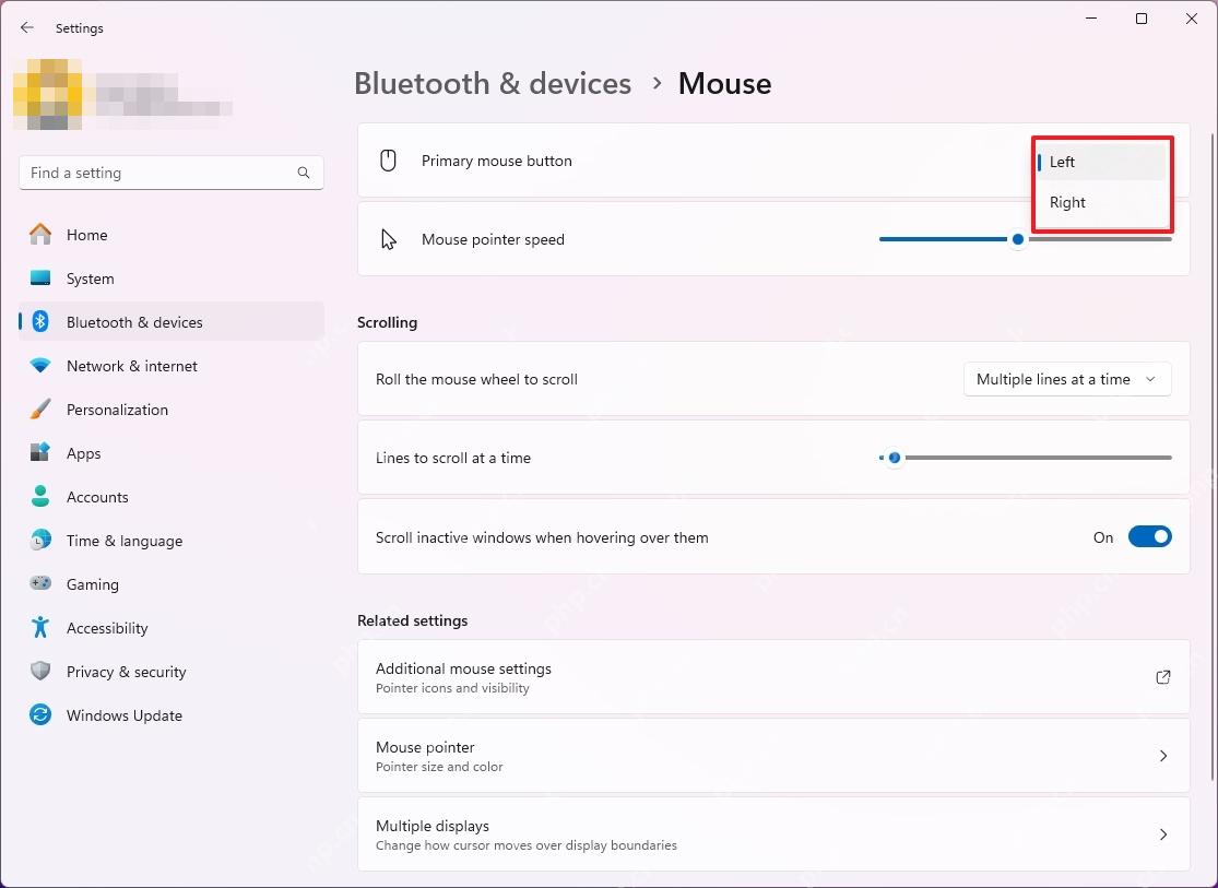 win11鼠标怎么设置_win11鼠标常用选项设置指南 - php中文网