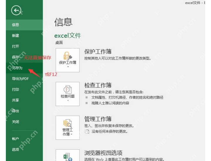 Excel 信息页面中查看保护工作簿状态,判断只读是否来自保护限制