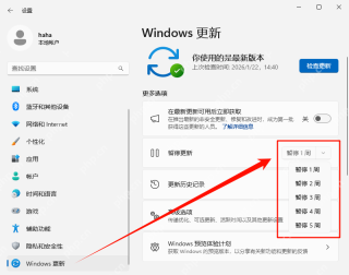 Windows 11 设置中打开 Windows 更新高级选项