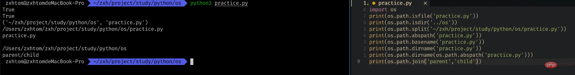 How does Pythons built-in module OS create a SHELL-side file processor?