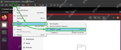 VMware Workstation Snapshot 菜单显示 Snapshot Manager 用于恢复前复查快照状态