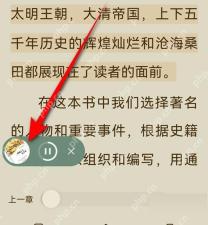 番茄免费小说正文页听书入口