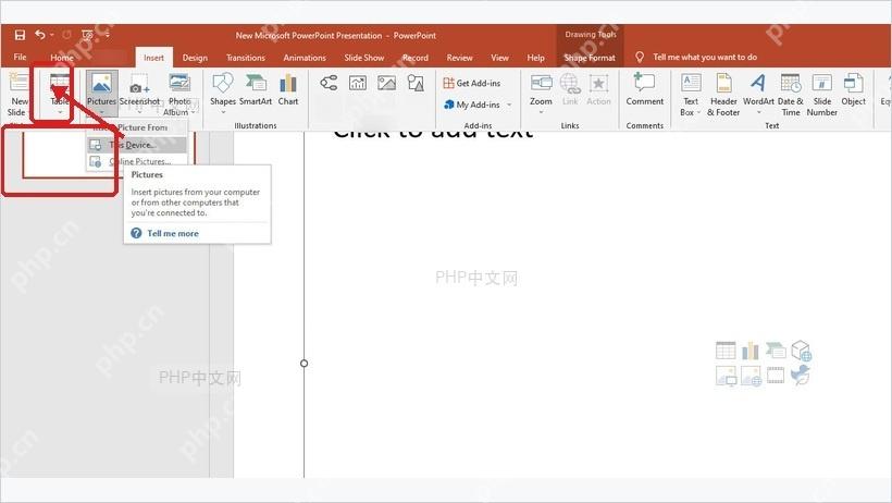 PowerPoint插入选项卡中选择图片入口