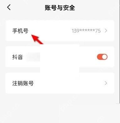 红果短剧账号与安全页面手机号和绑定项目