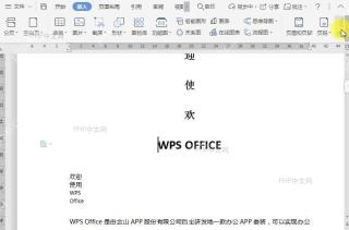 WPS如何在文档中插入稻壳艺术字？中间操作