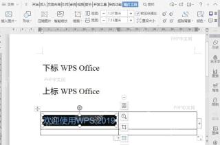 如何在文档的表格中插入图片?结果检查