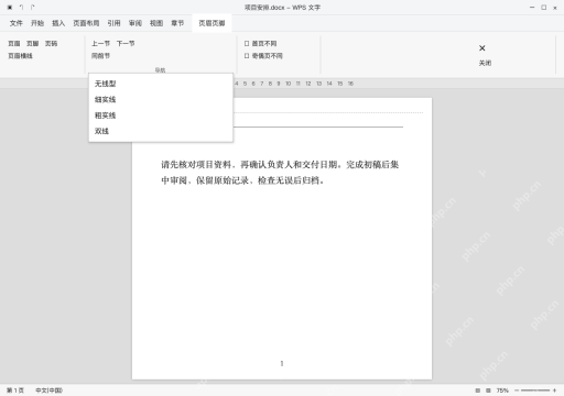 模拟 WPS 文字完整窗口：文字删掉后仍有线，选择无线型