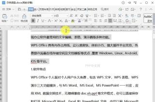 如何将文件作为独立窗口显示?结果检查