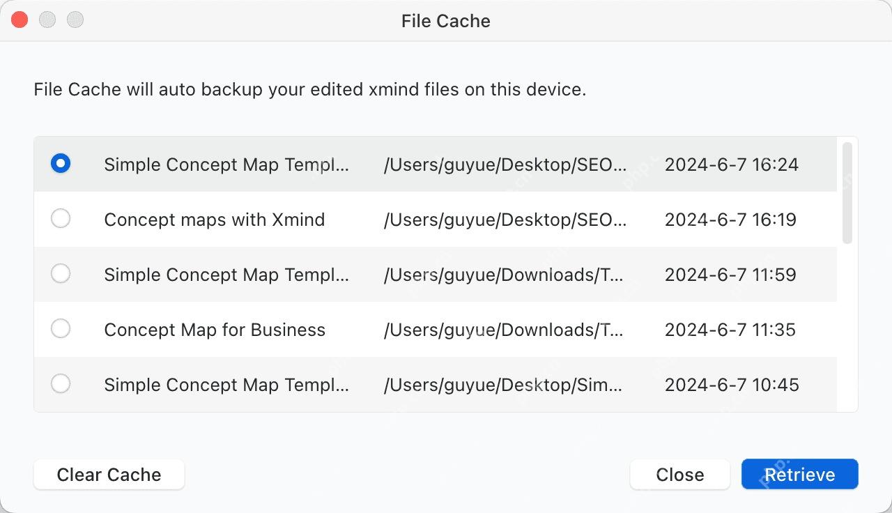 Xmind Pro File Cache 窗口列出缓存文件、路径和时间。