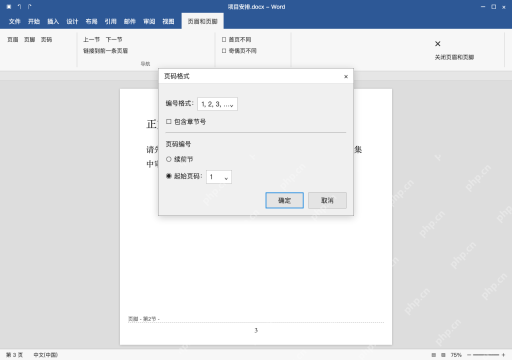 模拟 Microsoft Word 简体中文桌面版完整界面:设置起始页码为 1