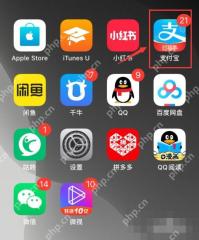支付宝换手机号后怎么登录