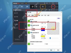 Bandicam Windows 录像设置鼠标页红框标出鼠标标签和显示鼠标指针区域
