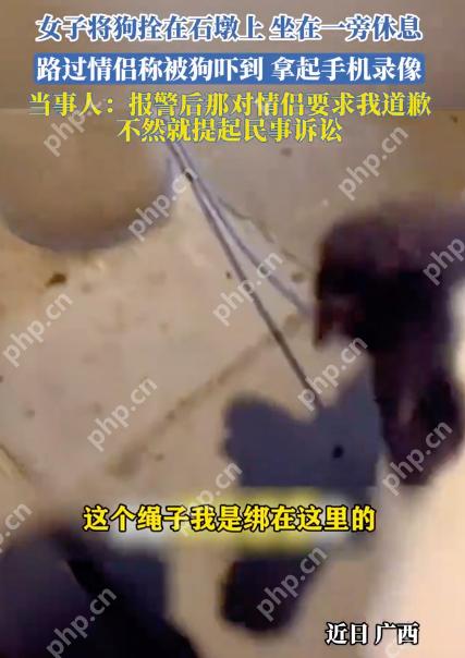 女子将狗拴在石墩上,坐在一旁休息,路过情侣称被狗吓到要求道歉 - php中文网