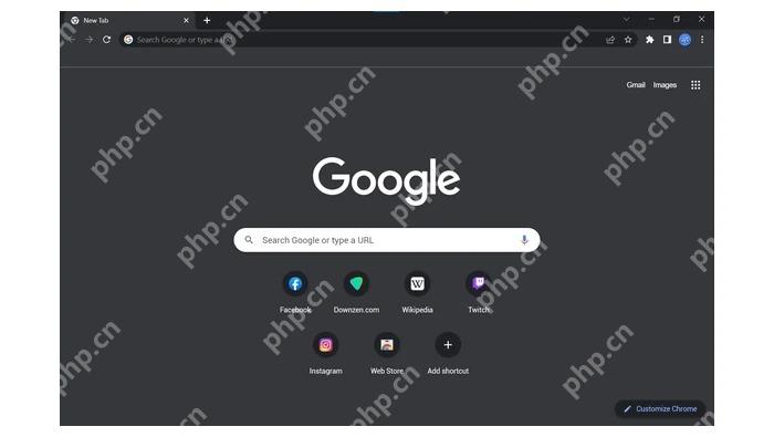 Google Chrome 官方软件封面