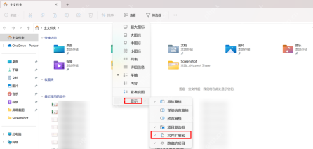 Windows文件资源管理器查看菜单中勾选文件扩展名选项