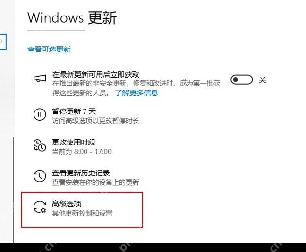 Win10 Windows 更新页面中高级选项入口被框出