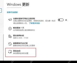 Win10 Windows 更新页面中高级选项入口被框出