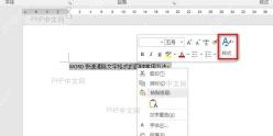 Word文字选区、右键浮动工具栏及右侧样式入口