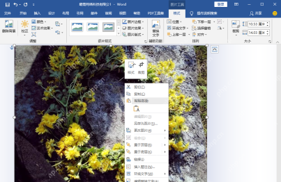 Word图片工具中通过右键菜单打开大小和位置设置