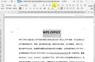 WPS如何给文档内容添加带圈字符？中间操作