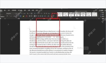 Microsoft Word校阅选项卡中翻译所选范围入口
