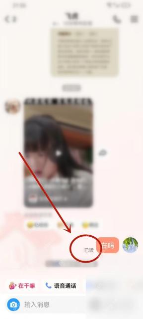 快手APP怎么开启消息已读功能第3步操作界面