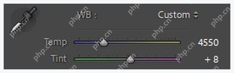 Lightroom Classic Basic 面板中的 Temperature 和 Tint 白平衡设置