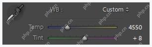 Lightroom Classic Basic 面板中的 Temperature 和 Tint 白平衡设置