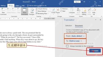 第四步:Word Translator 面板中的 Translate 按钮被红框标出