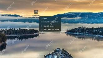Windows 聚焦桌面显示了解此图片入口