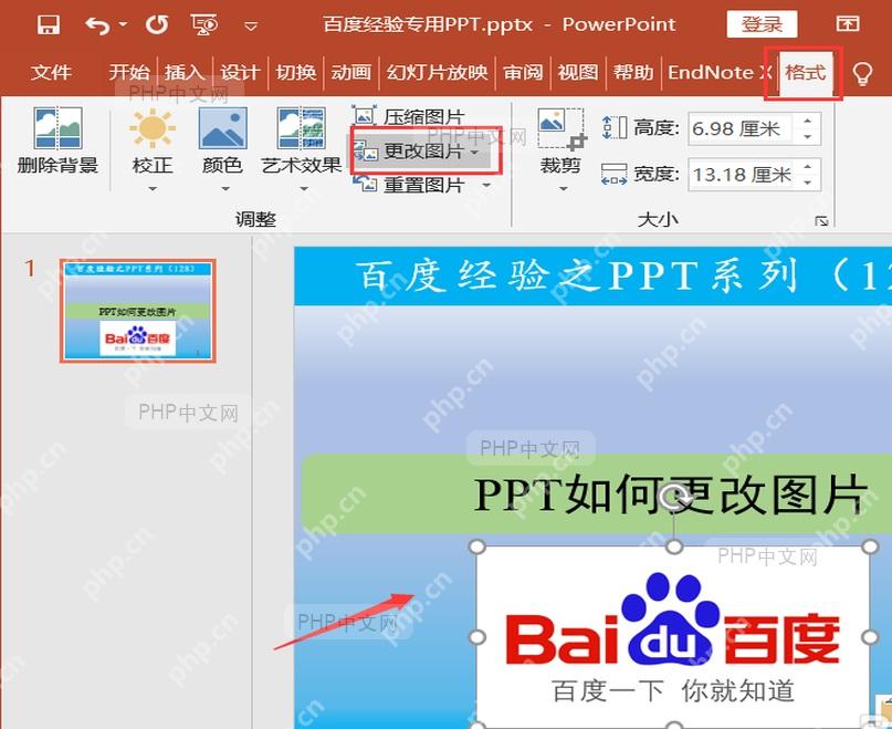 PowerPoint 中旧图片被选中并切到图片格式选项卡，准备执行更改图片