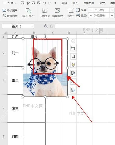 WPS表格工作表中选中要裁剪的图片并显示图片快捷按钮