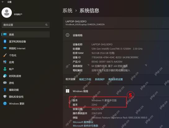 Windows 11 中文关于页面显示处理器内存和系统类型