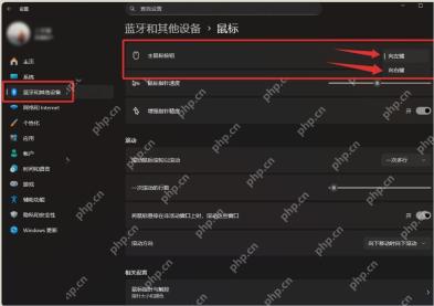 Win11鼠标页面主要鼠标按钮设置入口
