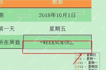 WPS 表格 WEEKNUM 函数输入周序号公式并查看参数提示