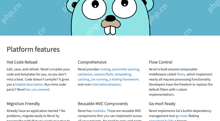 Revel 官方网站平台特性区域列出路由、校验、Session、模板、缓存、测试、filters 与 Go module,证明其框架能力范围