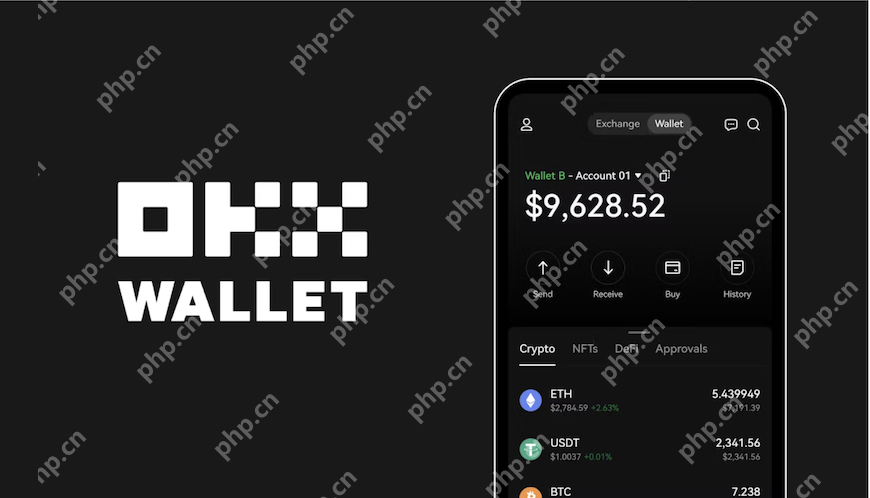 如何使用 okx web3 支付购买虚拟货币？ - php中文网