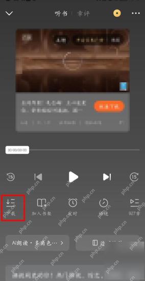 番茄免费小说听书或阅读页下载入口