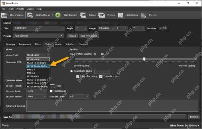 HandBrake Windows 桌面端界面,展示视频设置与本步骤涉及的控件