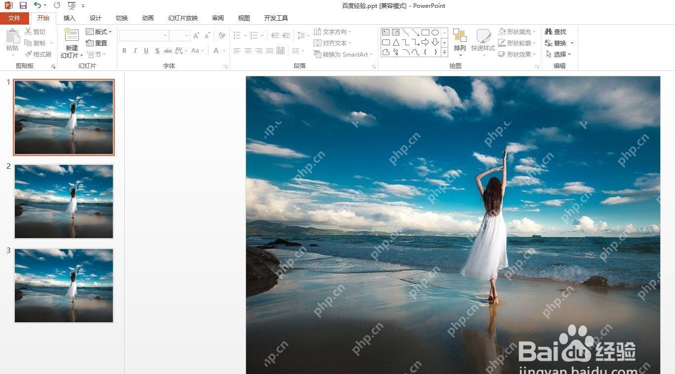 PowerPoint 页面中背景插图已经生效