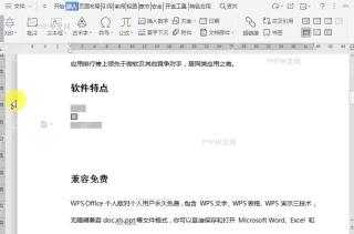 WPS如何在文档中插入窗体域?结果检查