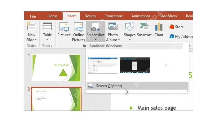 PowerPoint 屏幕剪辑入口