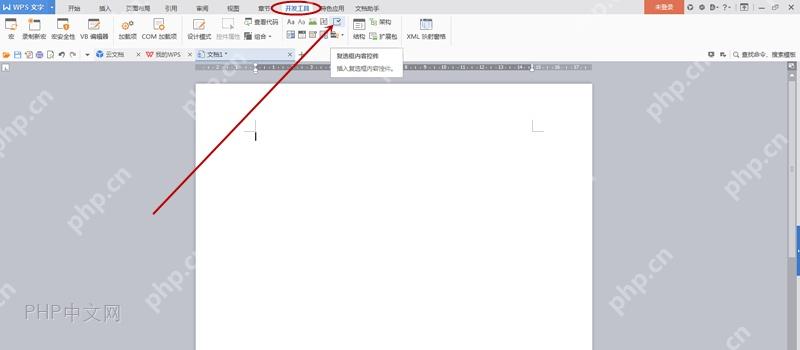 WPS 文字开发工具选项卡中窗体域入口的位置
